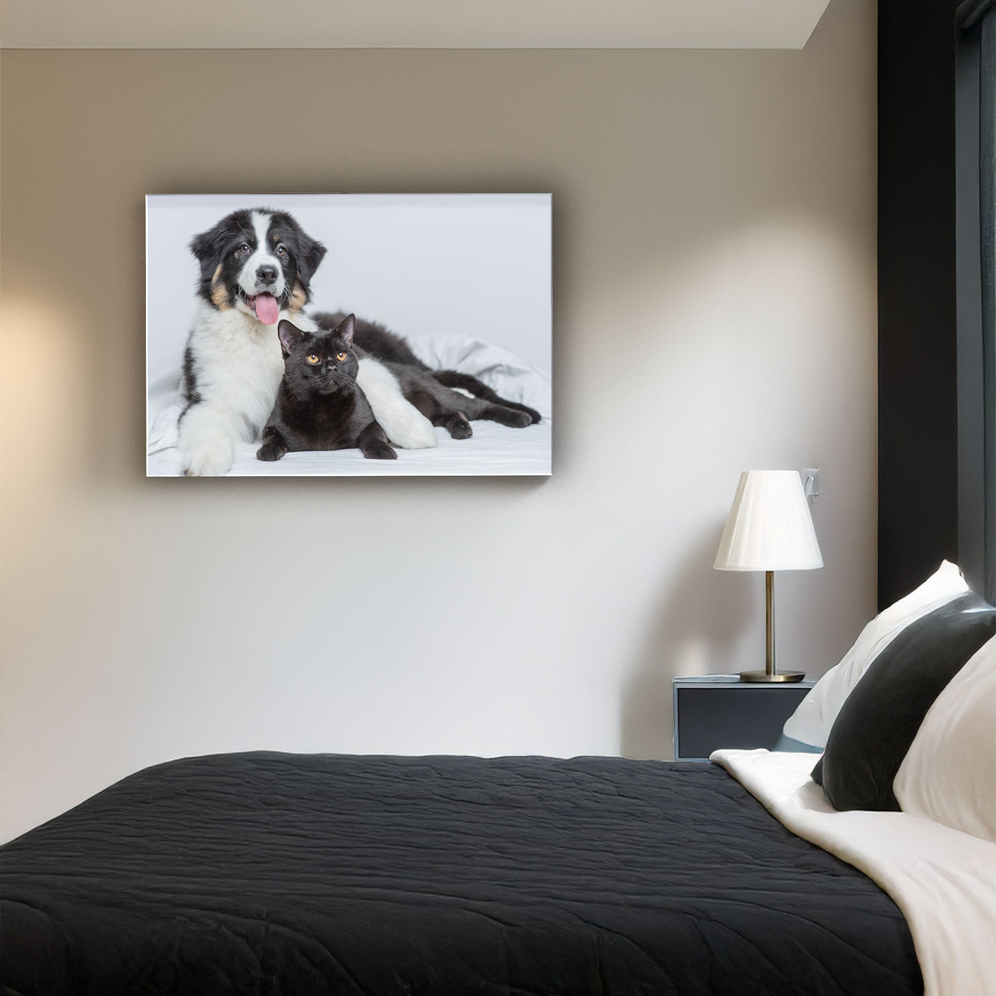 Pet Photos
