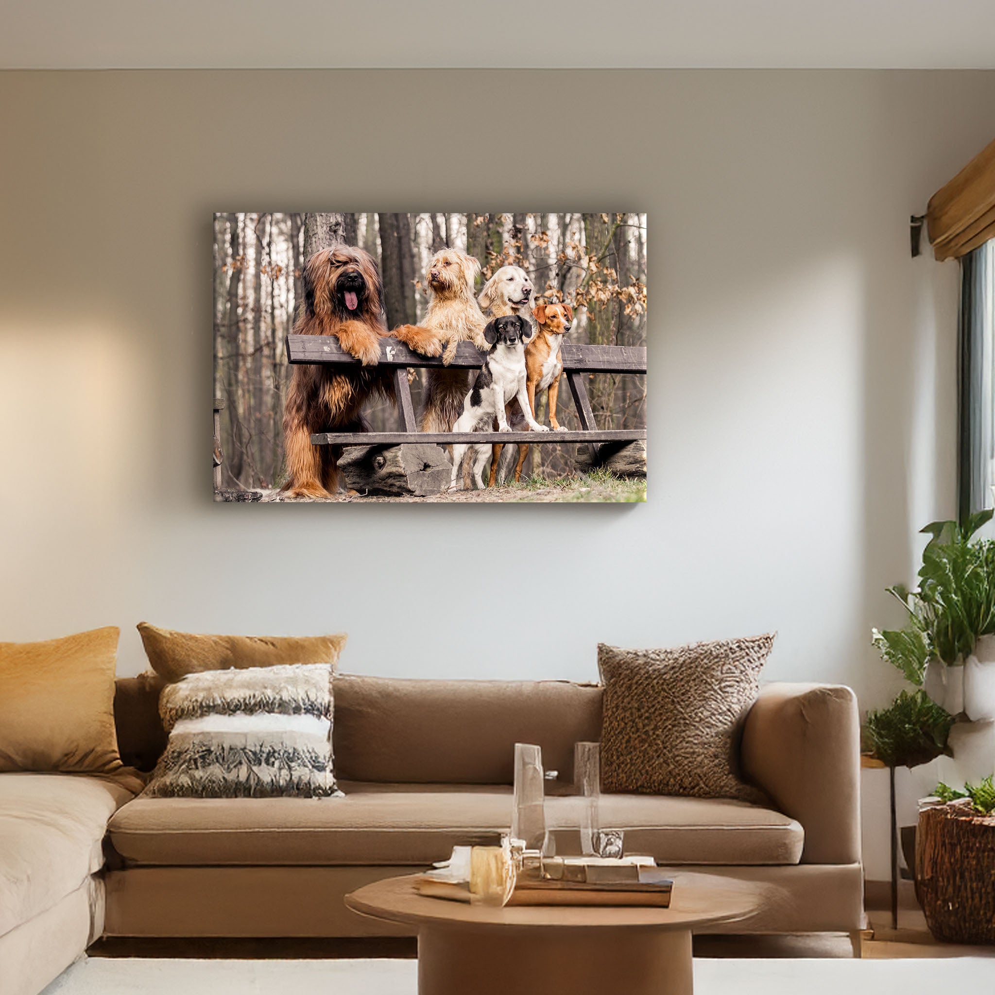 Pet Photos