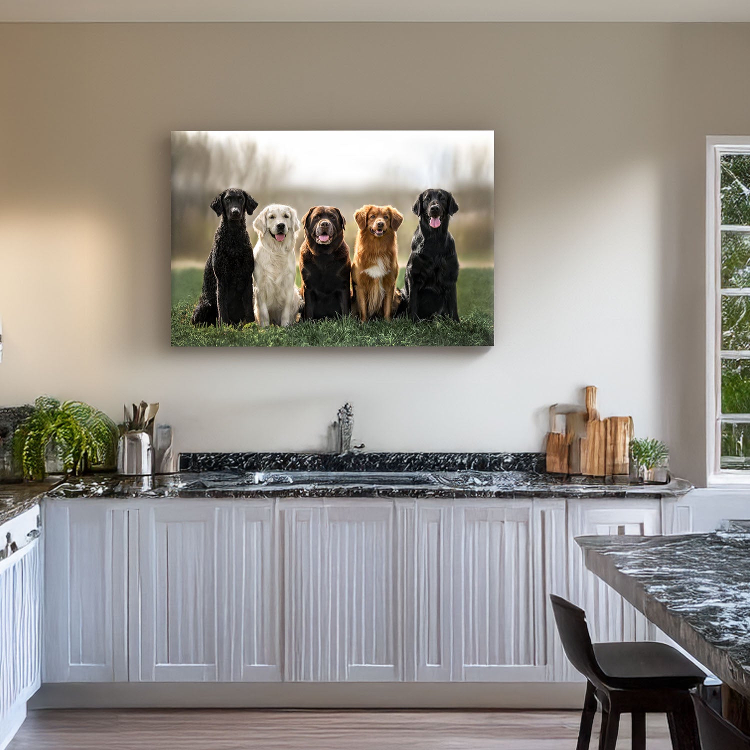 Pet Photos
